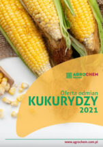 oferta_kukurydzy_2021